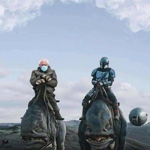 Meet your Posher, Austin